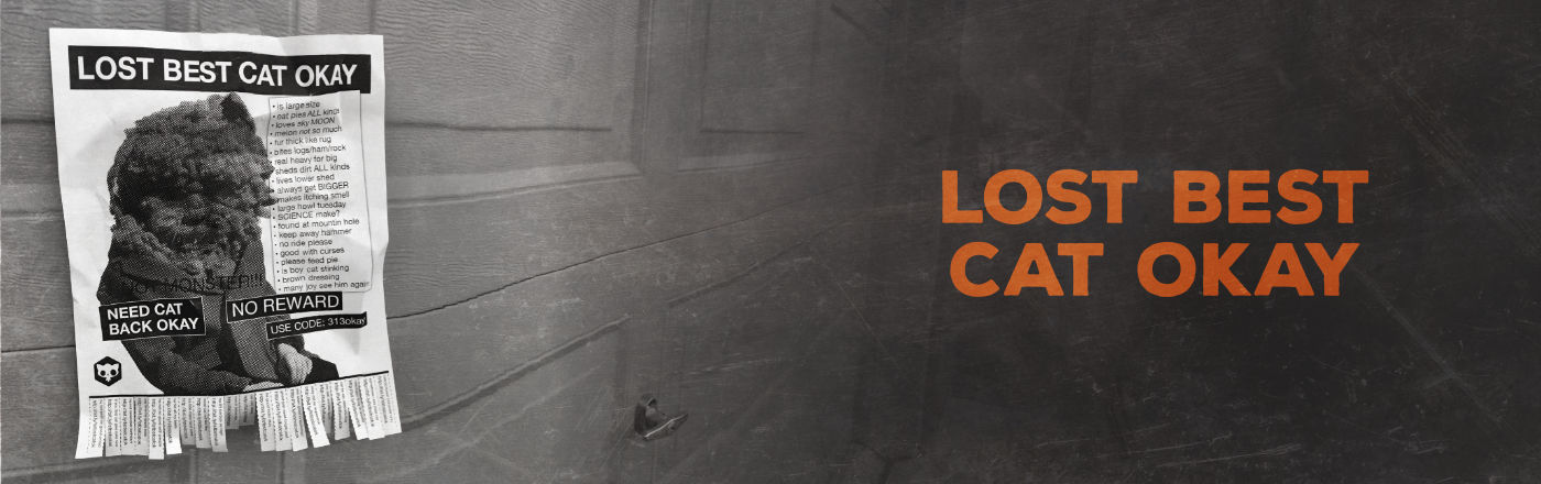 Lost Cat Flyer Header